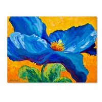 Zaštitni znak likovna umjetnost 'Blue Poppy 2' platno umjetnost Marion Rose