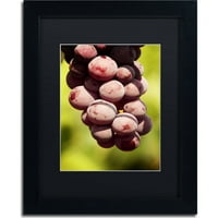 Zaštitni znak _ domaće grožđe platno Jasona Schaffera, Mat Crno, Crni okvir