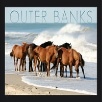 Vanjske obale, Sjeverna Karolina - Konji na plaži - Photograph Lantern Press