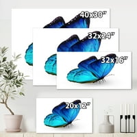 DesignArt 'Izbliza živog plavog leptira na bijeloj' Moderno platno zidna umjetnička print