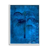 Stupell Tropska palmina biljka kolaž Pejzažno slikanje bijela uokvirena umjetnička print zidna umjetnost