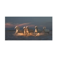 Rostovskiy Anton 'Camargue Horses on Sunset' Canvas Art