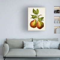 Vision Studio 'Antique Fruit Xi' Canvas Art