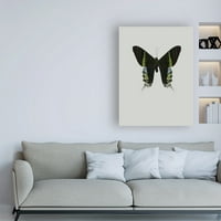 Zaštitni znak likovna umjetnost 'zeleni leptir' platno umjetnost inkado