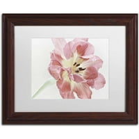 Zaštitni znak likovna umjetnost 'crveni tulip' platno umjetnost Cora Niele, bijela mat, drveni okvir