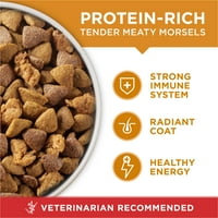 Suha hrana za odrasle pse s visokim udjelom proteina, prava piletina i riža, paket od 16 kilograma