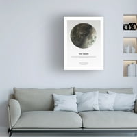 Dizajn Fabrikken 'Moon Light' Canvas Art