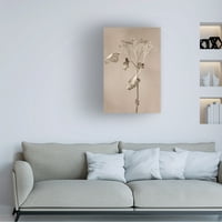 Takashi Suzuki 'Whitered Hydrangea 2' platna umjetnost