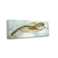 Stupell Industries Mirna galerija grafičke umjetnosti za plivanje morskih kornjača zamotana platna za tisak zidne