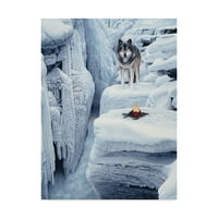 Zaštitni znak likovna umjetnost 'Smrznuti vodopad' platno umjetnost Ron Parker
