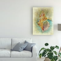 Zaštitni znak likovna umjetnost 'Aquatica I' Canvas Art by Steve Hunziker