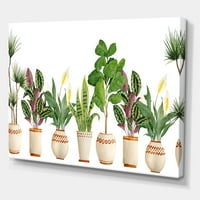 Trio od kućnih biljaka Sanseviera zmijske biljke na bijeloj slici platno umjetnički tisak