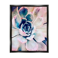 Moderni sočni biljni pogled Botanički i cvjetni fotografija Jet Black Framed Art Print Wall Art