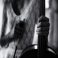 Tisak plakata Pauza za violončelo - Rosvita Schleicher-Švarc