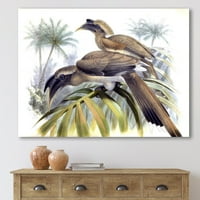 Art DesignArt Vintage Australian Birds XIV Tradicionalno platno zidno umjetnički ispis u. Široko u. High