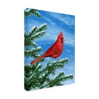 Chris Dobrowolski 'Zimski kardinal' platno umjetnost
