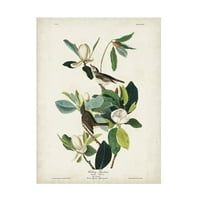 John James Audubon 'Warring Flycatcher' platno umjetnost