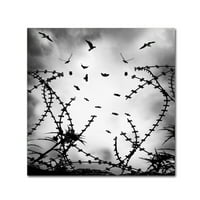 Zaštitni znak likovna umjetnost 'besplatno kao ptica' platno umjetnost Georgea digalakisa