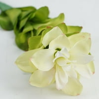 30 kremasto bijeli i zeleni umjetni cvijet đumbira-ukrasna stabljika baklje za izradu cvijeća