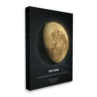 Stupell Industries Earth's Moon nebeske činjenice svemirske infografike, 20, dizajniran od strane Design Fabrikken