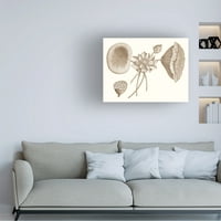 Vision Studio 'Sepia Water Lily I' Canvas Art