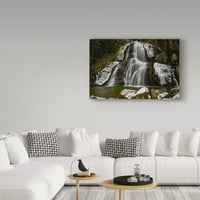 Zaštitni znak likovna umjetnost 'Frosty Moss Glen Falls' platno umjetnost brenda Petrella Photography LLC