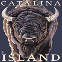 Otok Catalina, Kalifornija, Bison izbliza izbliza
