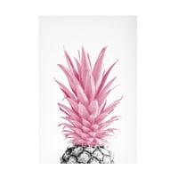 Studio III 'Pinapple Pink 03' platno umjetnost