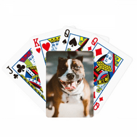 Bulldog Pet Animal Frights Picture Poker igra Magic Card Fun Board Game