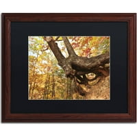 Zaštitni znak likovna umjetnost Drvo skloništa platna Art by Jason Shaffer, Black Matte, Wood Frame