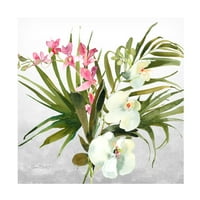 Jean Plout 'Prekrasne orhideje A' platno umjetnost