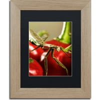 Zaštitni znak likovna umjetnost Molitva mantis & Pepper 2 platno umjetnost Jason Shaffer, Black Matte, okvir breze
