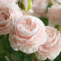 Grane glave umjetno cvijeće svilena božurska ruža vjenčana vaza za dom dekor mladenke bukete zanatske diy lažne