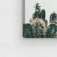 Wynwood Studio cvjetni i botanički zidni umjetnički platno ispisuje 'kaktusi' kućni dekor, 36 24
