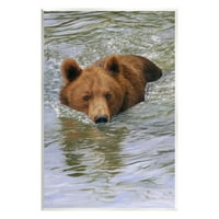 Smeđi medvjed jezero jezera za prskanje životinje i insekti fotografiraju se neradani umjetnički print zid umjetnosti