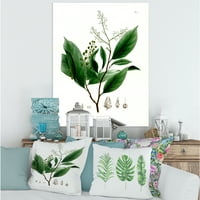 DesignArt 'Drevna brazilska biljka II' Tradicionalno platno zidno umjetnički tisak