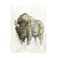 Ethan Harper 'Buffalo II' platno umjetnost