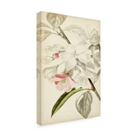 Vision Studio 'MISTARLE BOTANICAS VIII' CANVAS ART