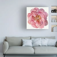 Jennifer Paxton Parker 'procvjetala Peony II' platno umjetnost