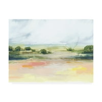 Zaštitni znak likovne umjetnosti 'Sunčit Marsh I' Canvas Art by Grace Popp