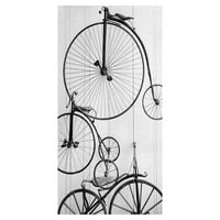 Umjetnička galerija remek -djela Classic Vozi biciklističke kotače Walter Bibikow Canvas Art Print 17 34