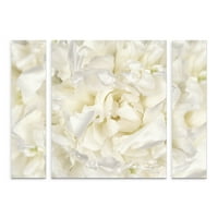 Zaštitni znak likovna umjetnost 'Cvijet bijelog božura' Multi-Panel platno Art Set by Cora Niele