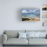 Beata Czyzowska Young 'Bateau Bay Beach 2' platno umjetnost