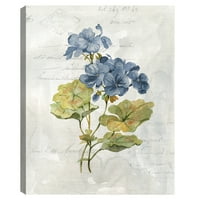 Plava posteljina geranij Carol Robinson Canvas Art Print