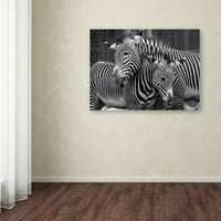 Zaštitni znak likovne umjetnosti 'zebra' platnena umjetnost Mike Jones Photo