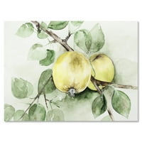 DesignArt 'drevni zeleni Appels' Farmhouse Canvas Wall Art Print