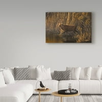 Zaštitni znak likovne umjetnosti 'Večernji krugovi Sika Deer' platno umjetnost Wilhelm Goebel