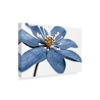 Zaštitni znak likovna umjetnost 'plavi cvijet na bijeloj' platno umjetnost Tom Quartermaine