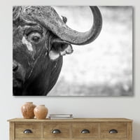 Designart 'Crno -bijeli portret Buffalo III' Farmhouse Canvas Wall Art Print