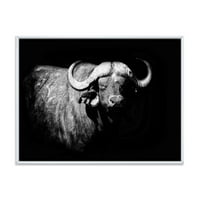 DesignArt 'Crno -bijeli portret Buffalo I' Farmhouse uokvirena platna zidna umjetnička tiska